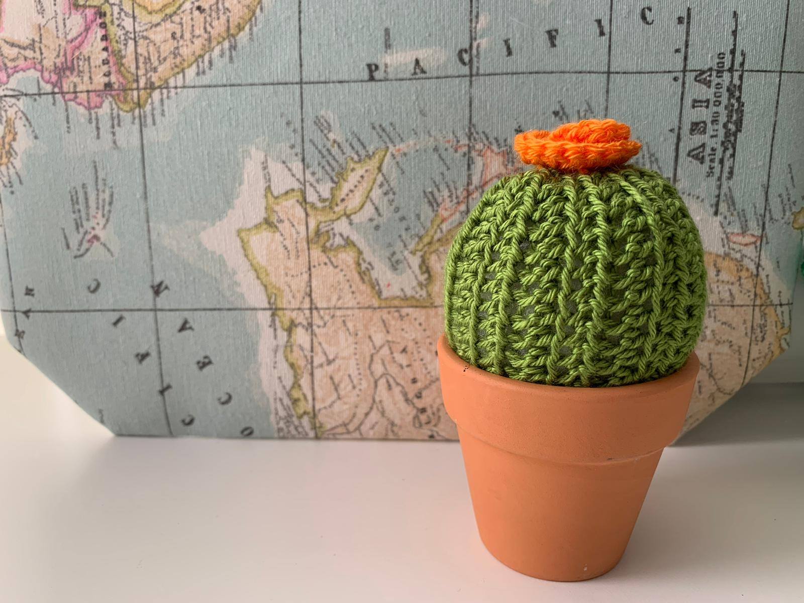 Mini Cactus de Ganchillo